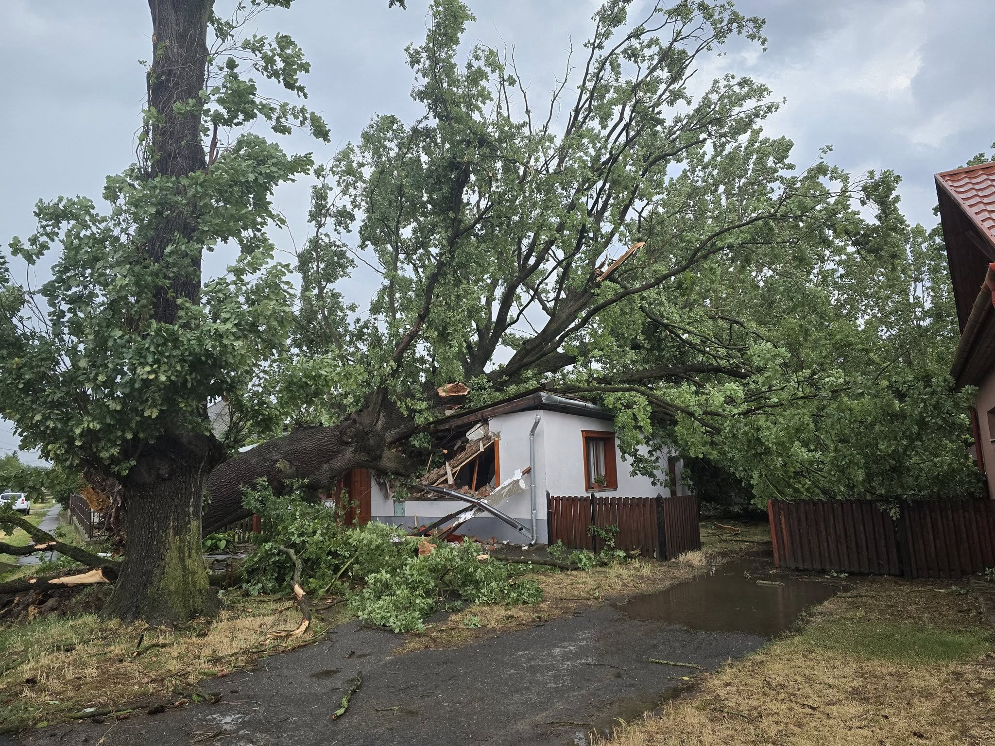 Viharkárok Lónyán